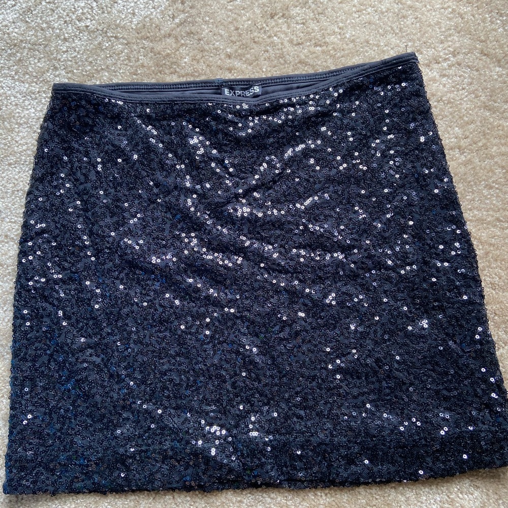 Sequin Skirt